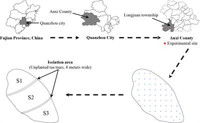 Improvement of soil acidification in tea plantations by long-term use of organic fertilizers and its effect on tea yield and quality